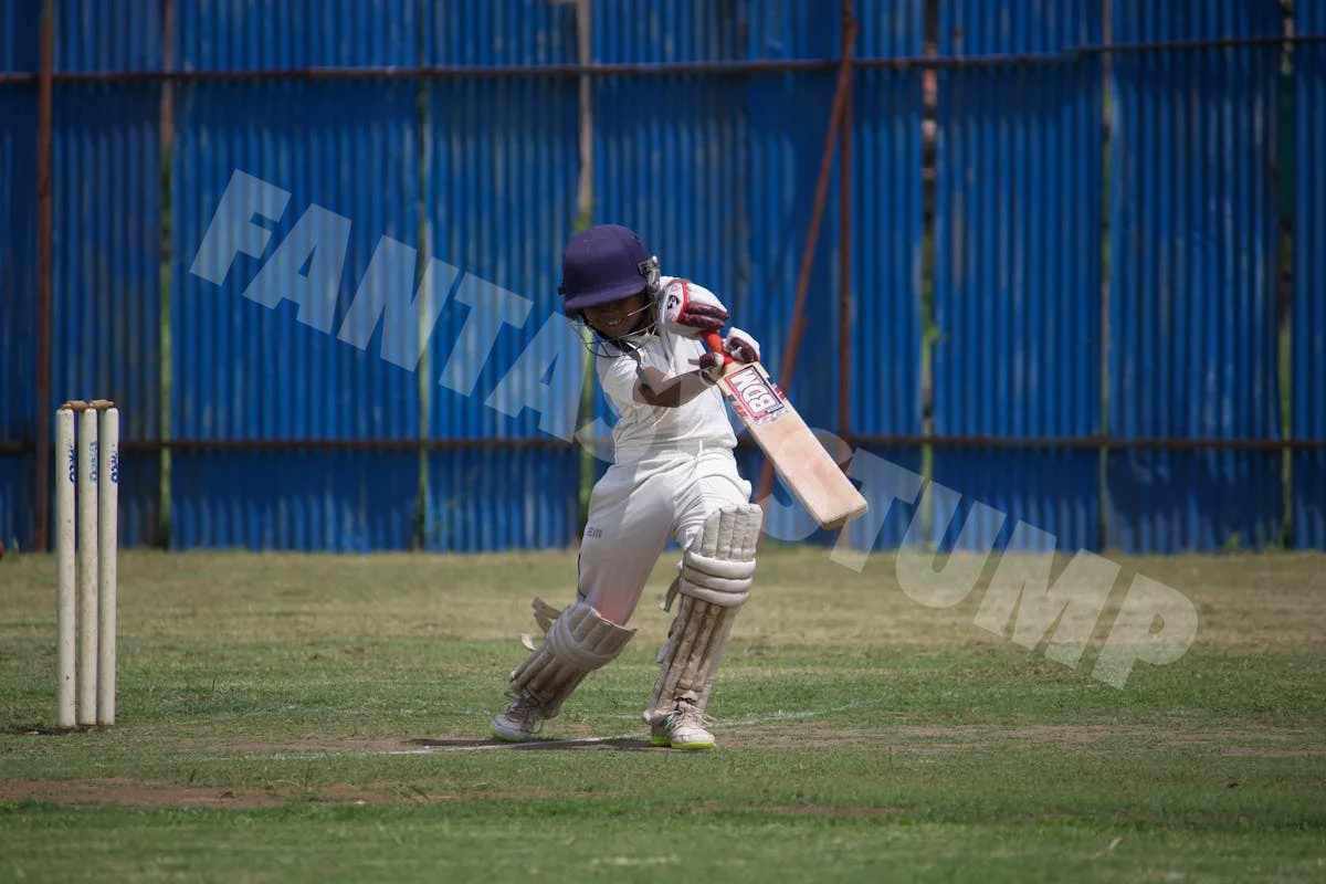 Cricket Strategy