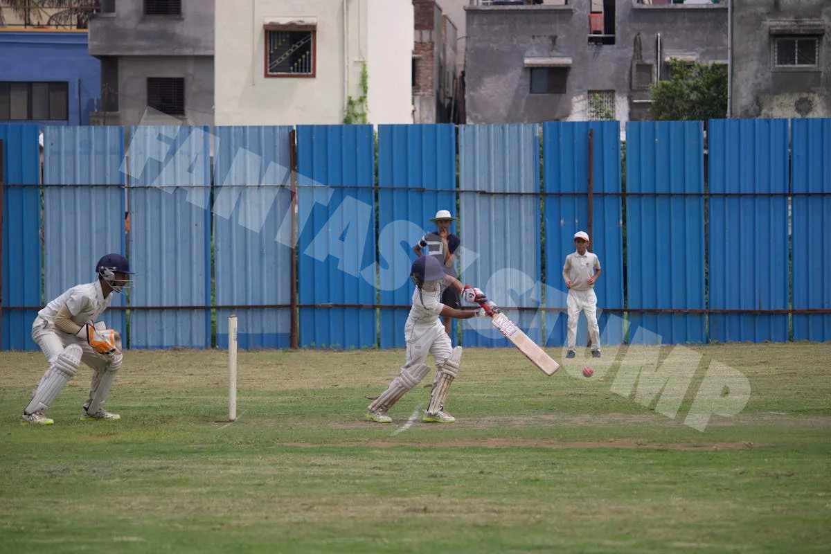 Cricket Strategy