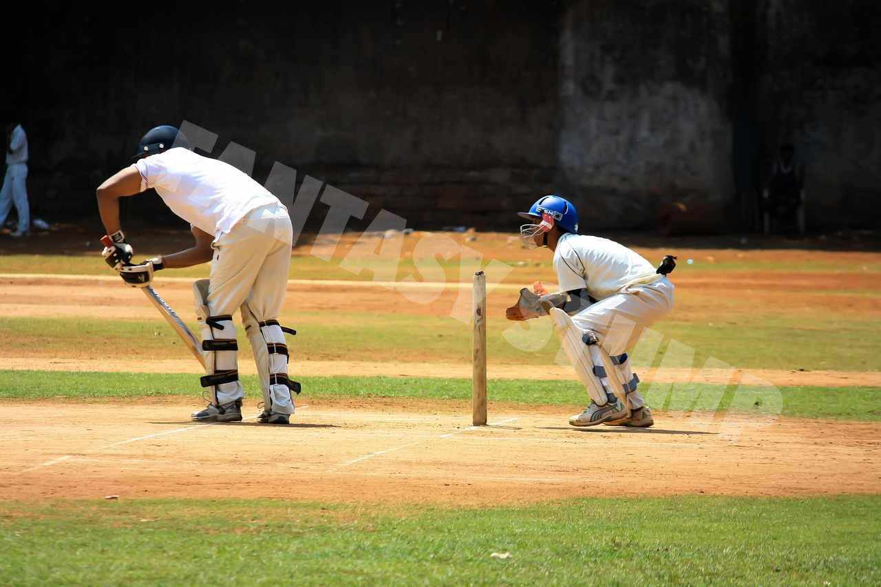 Cricket Background