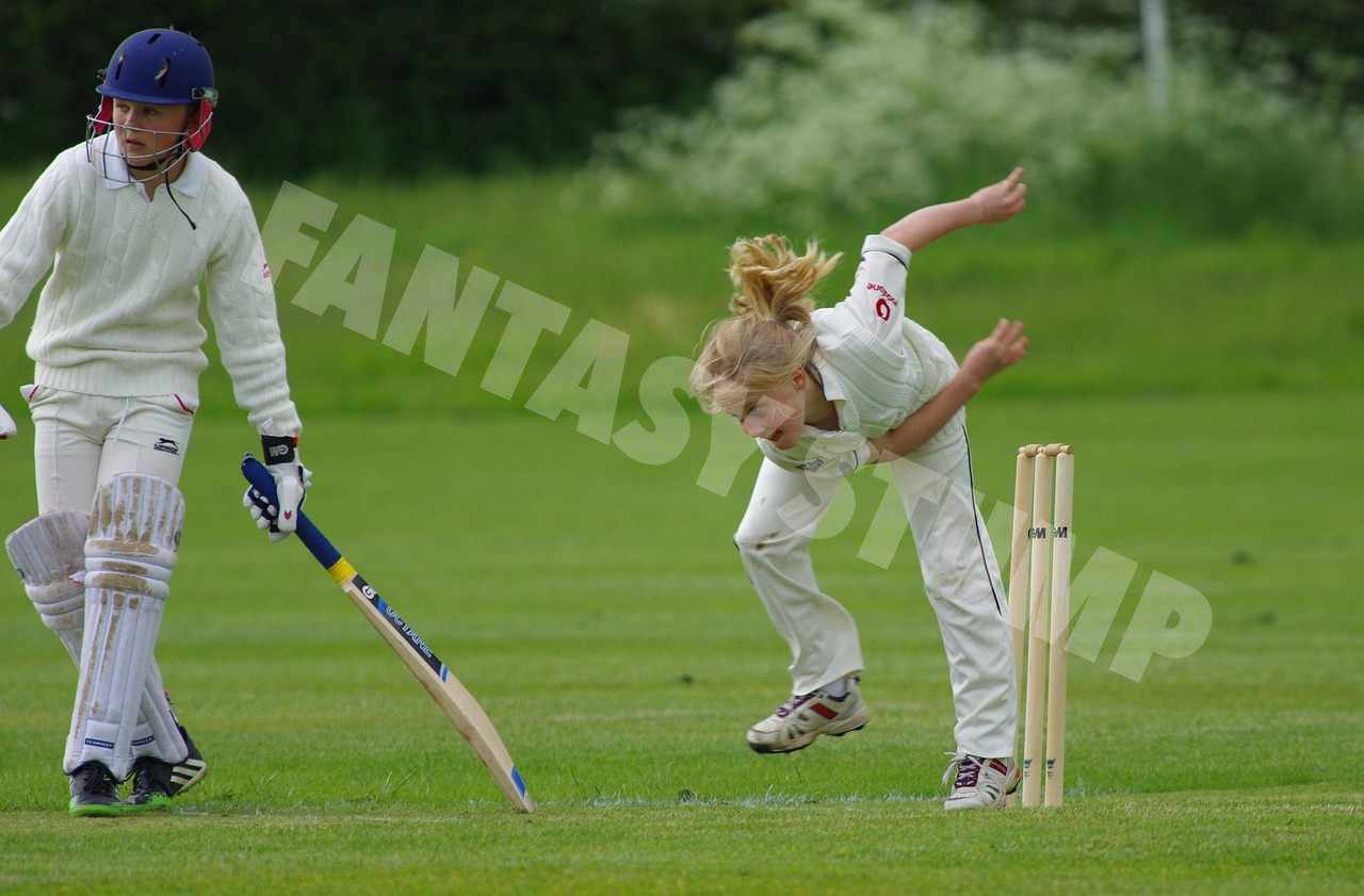 Cricket Background